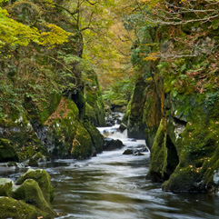 2008.11.03-Snowdonia-snow-1