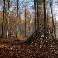 Cadole-Woods-Loggerheads-North-Wales