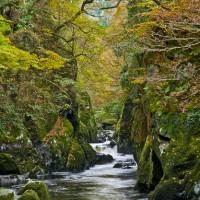 Fairy-Glen-Betws-y-Coed