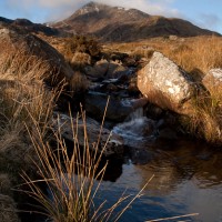 Mountain Stream, Moel Siabod, Snowdonia