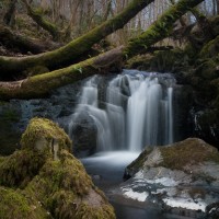 Mountain stream above Barmouth