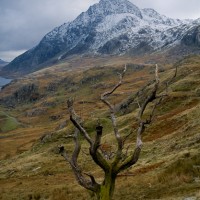 Trefan from Clogwyn y Tarw