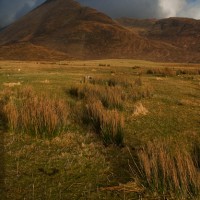 View from Camasunary estuary, Skye