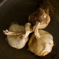 Oak-smoked garlic bulbs