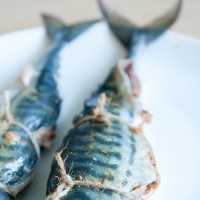 Fresh mackerel filleted and tied, tail on