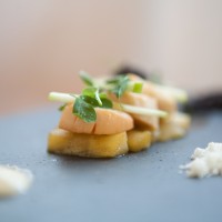 Pink Scallops with mango and micro salad, on a slate platter