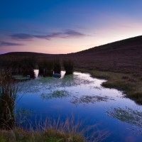 Clwydias heather hill pond at sunset