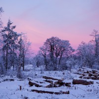 Vale of Clwyd winter sunrise, Denbigh